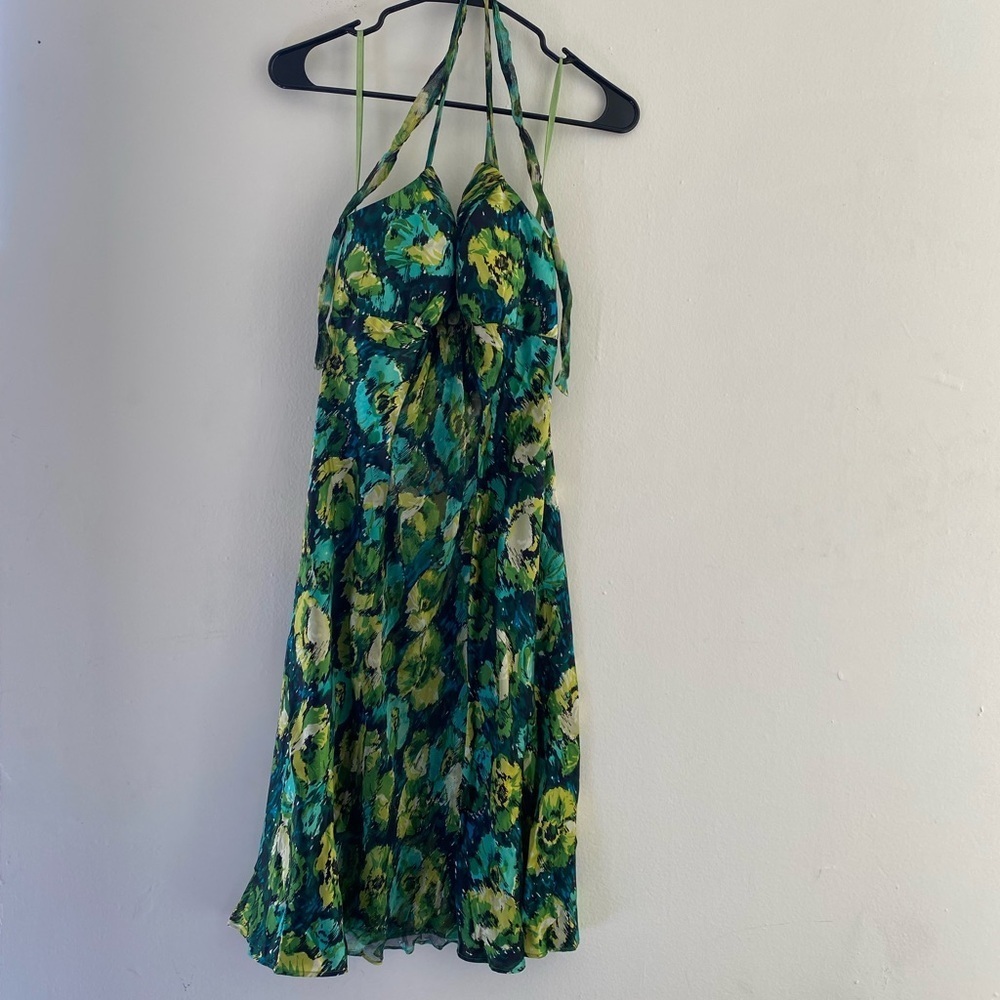 Donna Ricco Dress